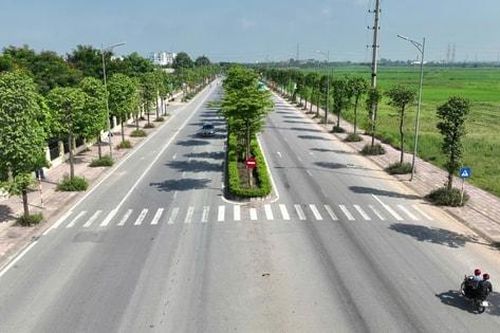 Cho thuê gần 3.700m2 đất tại xã Bích Hòa (huyện Thanh Oai) để xây dựng cửa hàng xăng dầu Pimex