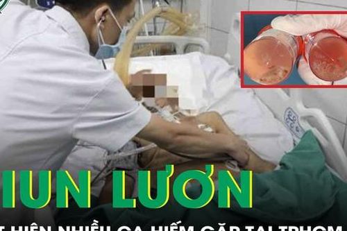 Phát hiện nhiều ca nhiễm giun lươn hiếm gặp tại TPHCM