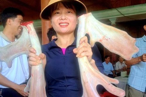 Cặp nhung hươu 'đa chồi, rộ lộc' gây xôn xao ở Hà Tĩnh