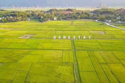 Nông thôn mới giai đoạn mới: Ưu tiên phát triển xanh và giảm nghèo bền vững