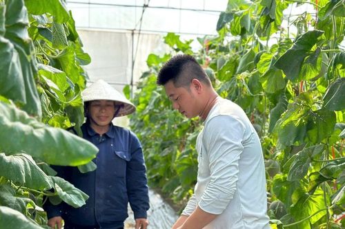 Người trẻ đam mê mô hình nông nghiệp hữu cơ