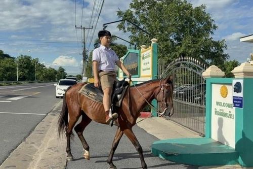 Nam sinh Thái Lan cưỡi ngựa đi học mỗi ngày để tiết kiệm xăng