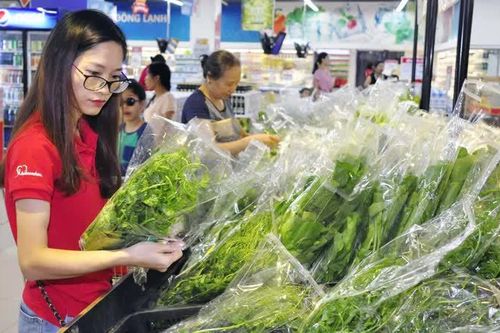 Hưởng ứng Chương trình Khuyến mại tập trung TP Hà Nội 2025: siêu thị đồng loạt giảm giá khủng