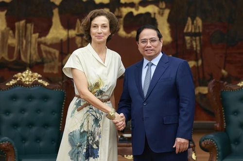 Tổng Giám đốc UNESCO: Sẵn sàng cùng Việt Nam chia sẻ tầm nhìn chiến lược về văn hóa ra thế giới