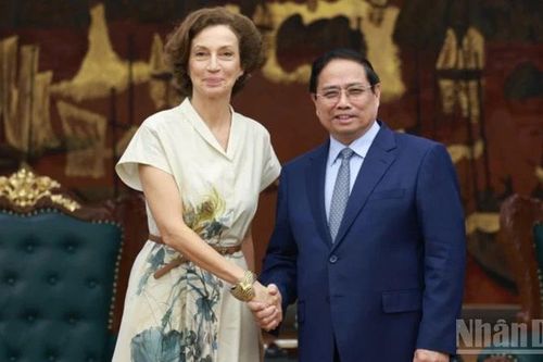 UNESCO tiếp tục đồng hành về văn hóa, thúc đẩy những giá trị cốt lõi của Việt Nam ra thế giới