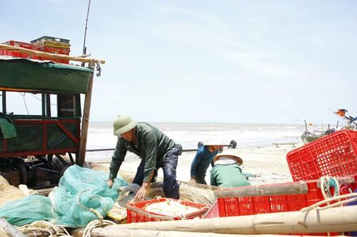Nhọc nhằn nghề khai thác tép biển
