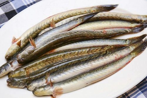 Loại cá 'nhà nghèo' hóa đặc sản hơn nửa triệu đồng/kg