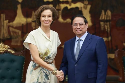 Việt Nam-UNESCO: Củng cố quan hệ Đối tác toàn diện, vì tương lai phát triển bền vững