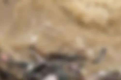 Phát hiện thi thể mắc kẹt dưới chân đập thủy điện ở Tuyên Quang