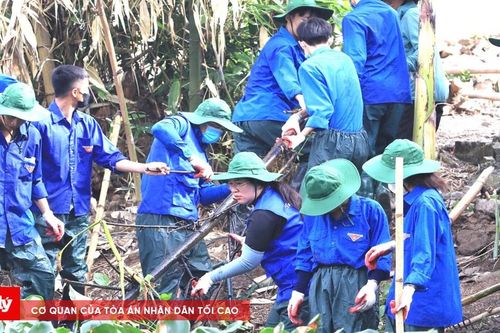 Tuổi trẻ Nghệ An nối mạch nguồn xanh giữa đại ngàn