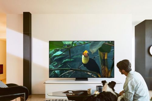 Loạt giải thưởng uy tín bảo chứng chất lượng cho Samsung AI TV 2025