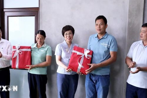 Thông tấn xã Việt Nam chung tay xóa nhà tạm, nhà dột nát tại Tuyên Quang