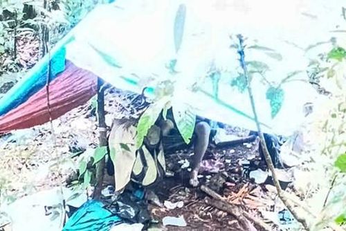 Lâm Đồng: Phát hiện người đàn ông tử vong trong rừng sâu