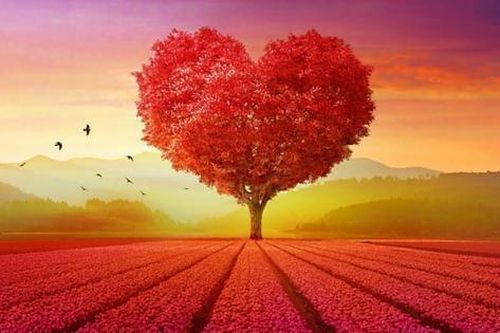 Lựa chọn cách ứng xử đầy tình người