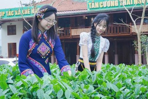 Nâng cao kiến thức, kỹ năng, giúp người dân 'xứ trà' làm giàu bền vững