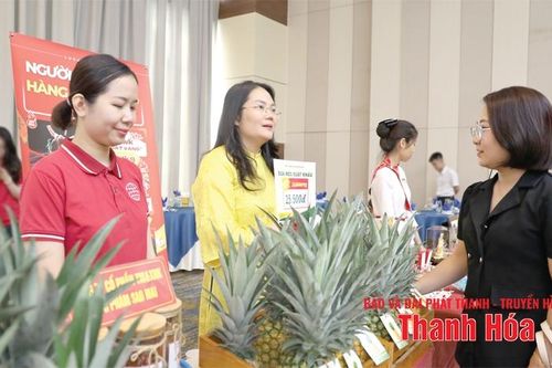 Nâng tầm sản phẩm địa phương thành thương hiệu quốc gia