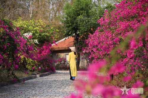 Những điểm đến du lịch bền vững năm 2025 tại Việt Nam