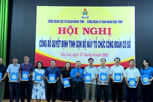 Chuyển giao 2.426 đoàn viên công đoàn về Liên đoàn Lao động tỉnh Gia Lai