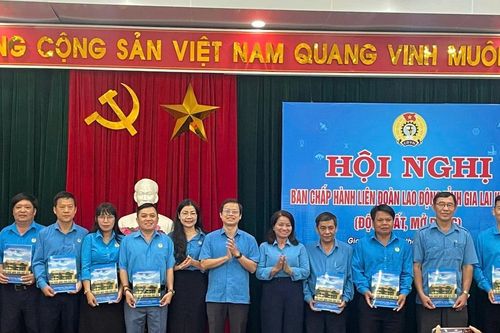 Gia Lai: Công bố giải thể 20 Công đoàn cấp trên trực tiếp cơ sở