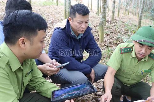 'Gỡ vướng' chi trả dịch vụ môi trường rừng cho hộ gia đình
