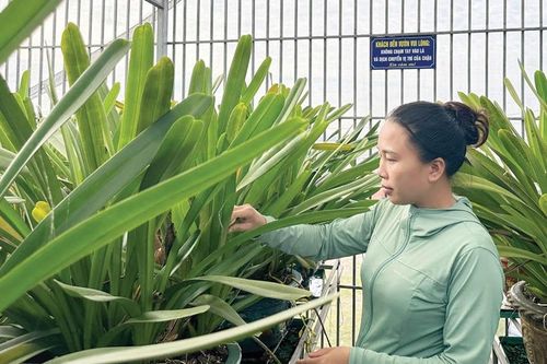 Chuyển hướng thành công