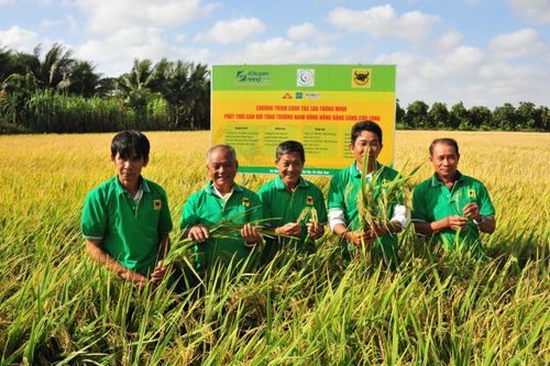 Phân bón Bình Điền: Ứng dụng công nghệ sinh học trong đổi mới mô hình tăng trưởng