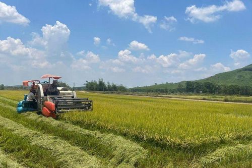Hợp tác xã Tấn Hưng - Điểm sáng của nông nghiệp xanh ở Đắk Lắk