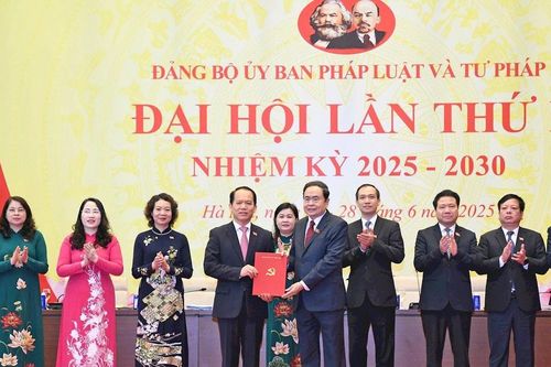 Nghiên cứu sâu hơn, toàn diện hơn, tiếp tục phát huy hiệu quả chủ trương đổi mới tư duy xây dựng pháp luật