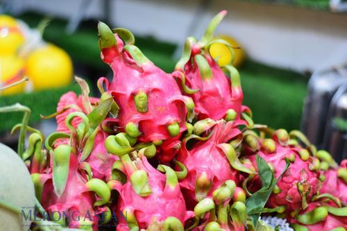 Việt Nam vẫn còn thiếu thương hiệu trái cây quốc gia