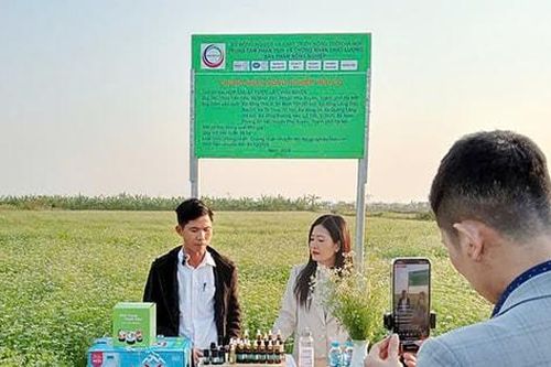 'Gieo mầm số' cho đất nghề Phú Xuyên
