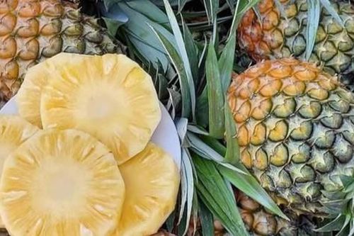 Xuất hiện loại dứa lạ trên thị trường, thơm ngon như mật được chị em đua nhau săn đón