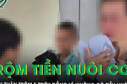 Giọt nước mắt trong phòng xử vụ người mẹ đơn thân trộm 5 triệu đồng vì 'không có tiền nuôi con'