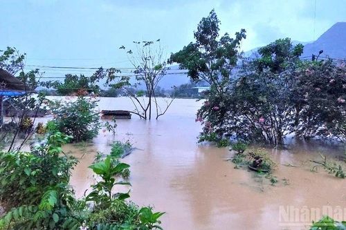 Đà Nẵng: Thiệt hại từ lũ trái mùa ở Hòa Bắc và bài toán trách nhiệm