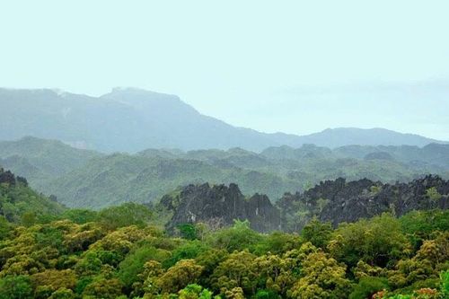 Gỡ khó trong thực thi chính sách bảo vệ rừng