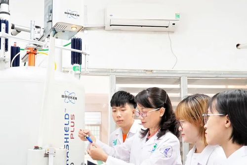 Thành phố Hồ Chí Minh - Siêu đô thị xanh, sáng tạo - Bài 3: Mở hướng thu hút nguồn nhân lực chất lượng cao