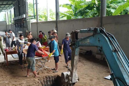Cá heo chết trên sông Ông Đốc (Cà Mau)