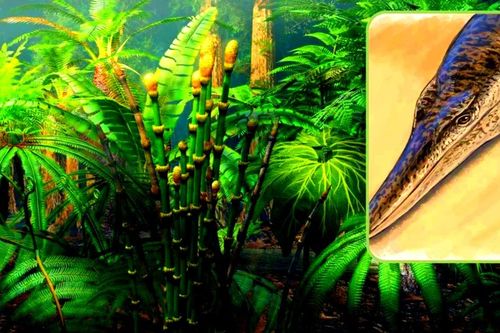 Hóa thạch cá sấu biển cổ đại có hình thù kỳ dị như cá heo