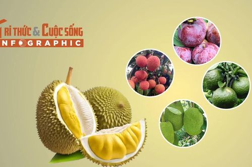 5 loại trái cây vào mùa rớt giá mạnh