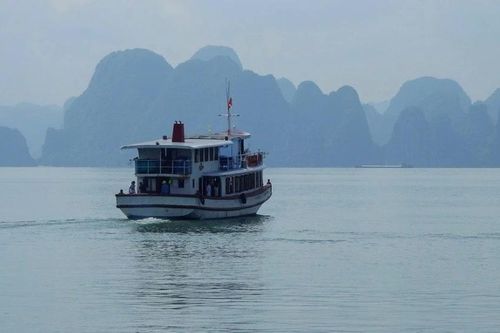 Nữ du khách nước ngoài tử vong khi đang ăn trên tàu du lịch ở Quảng Ninh