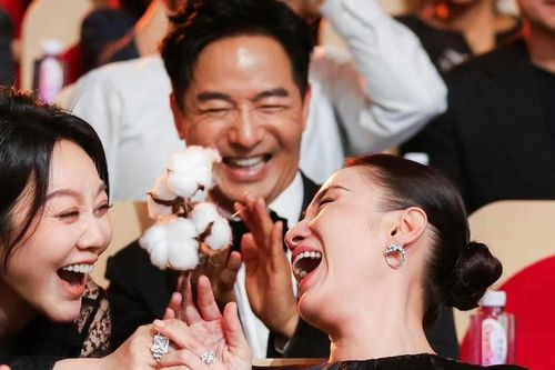 Người khiến Lưu Diệc Phi bỏ về