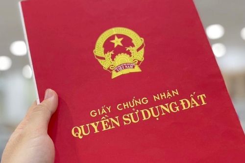 Chuyển 300m2 đất vườn phải nộp 4,5 tỷ; nước ồ ạt tràn vào hầm chung cư ở Hạ Long