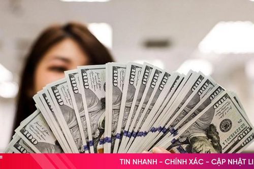 Tỷ giá USD hôm nay 29/6/2025: Cơ bản ổn định