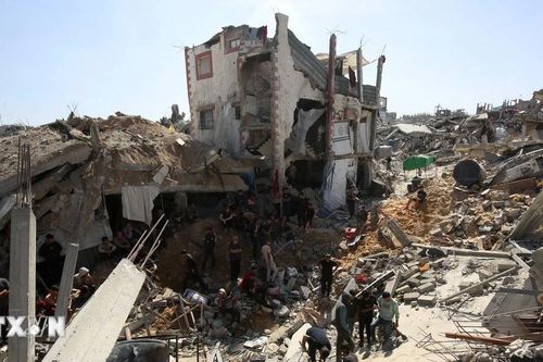 Ai Cập nêu tầm nhìn chiến lược trong giải quyết khủng hoảng khu vực