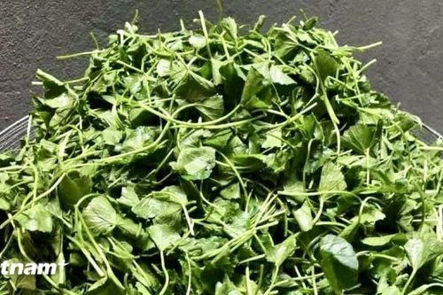Rau má - 'thần dược' từ thiên nhiên cho làn da khỏe đẹp