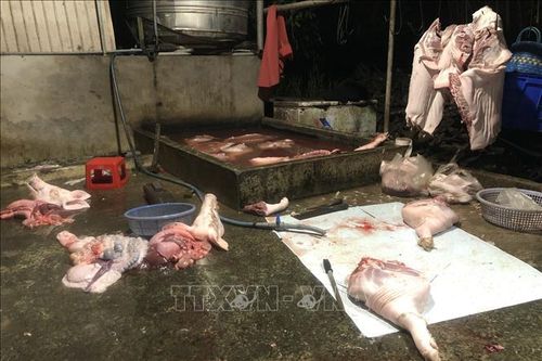 Chặn thực phẩm bẩn, kiểm soát tận khâu giết mổ