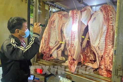 Lấp lỗ hổng kiểm dịch, kiểm định thực phẩm
