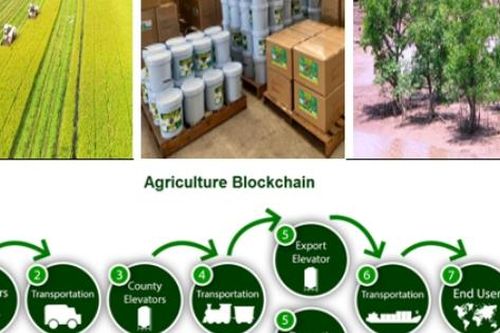 Sắp ra mắt phân viện nghiên cứu công nghệ hỗ trợ nông nghiệp Tây Nam Bộ