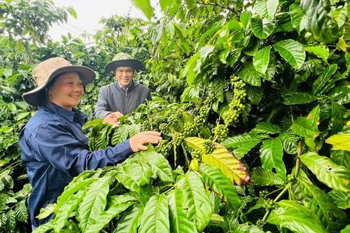 Những công nhân tiêu biểu trong lao động giỏi, sáng tạo