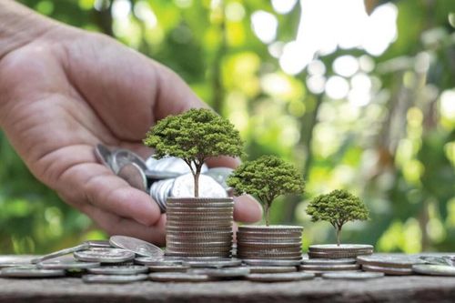 Gần 200 quốc gia đồng ý tăng 10% ngân sách khí hậu của Liên Hợp Quốc