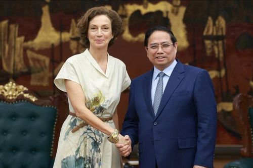Đề nghị UNESCO ghi danh và hỗ trợ bảo tồn di sản văn hóa Việt